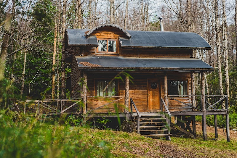 Cabañas del Bosque in Panguipulli, Chile