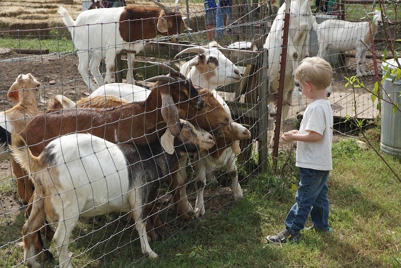 Cabin Creek Farm in Columbia, Tennessee, United States