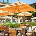 Courtyard Sacramento Airport Natomas