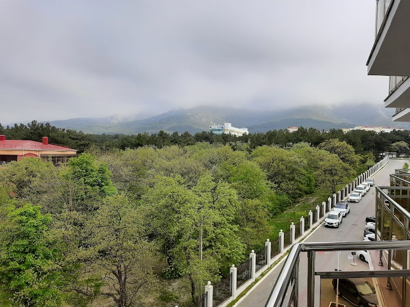 Cruise Hotel in Gelendzhik, Russia