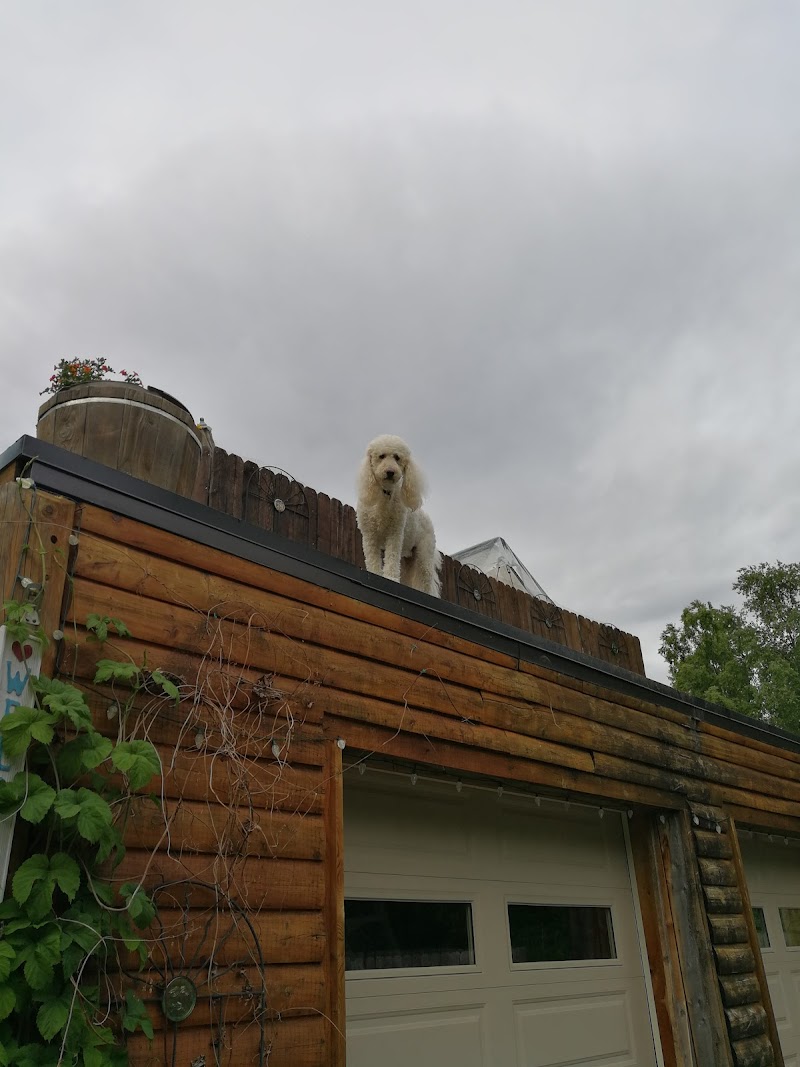 Daniels Lake Lodge Cabins in Nikiski, Alaska, United States