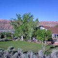 Desert Hills Bed & Breakfast