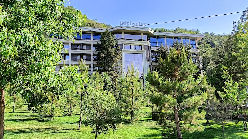 Edelweiss Hotel in Yelizovo, Russia