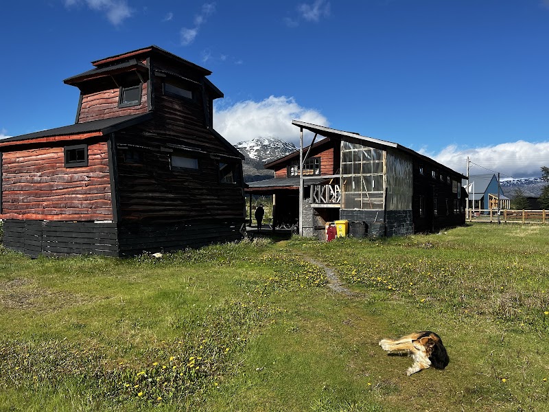 El Mosco in Villa O'Higgins, Chile