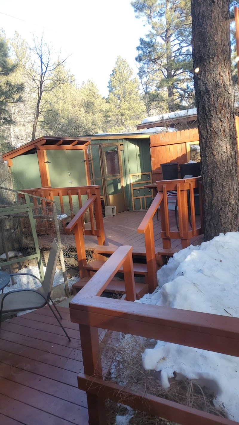 Elden Trails Bed and Breakfast in Doney Park, Arizona, United States