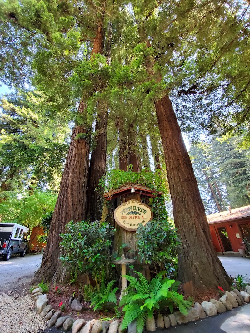 Fern Grove Cottages in Aptos, California, United States