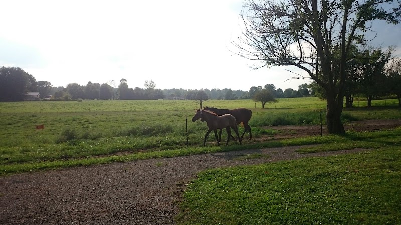 Funkhouser Family Farm – Good Thyme on the Farm in Upper Sandusky, Ohio, United States