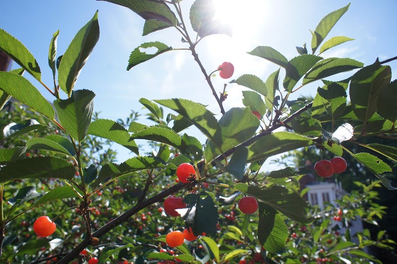 Grace Manor Inn in Richmond, Virginia, United States