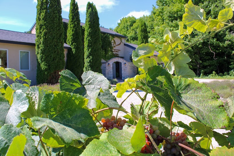 Grey Hare Inn in Traverse City, Michigan, United States