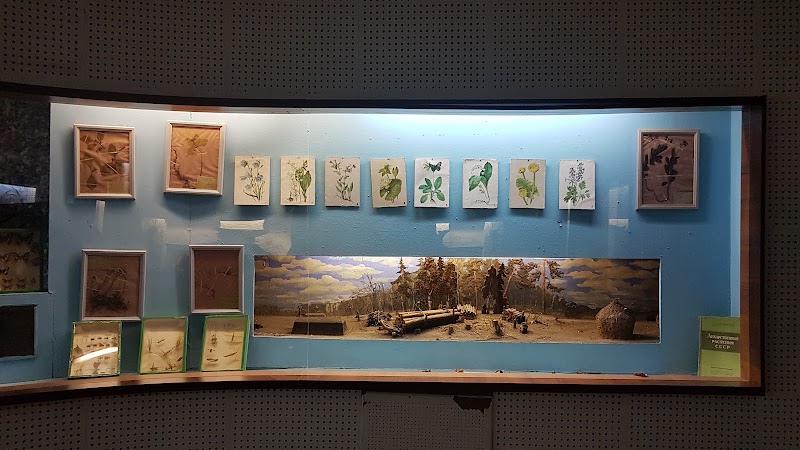 Guest House Sosnovy Bor in Noginsk, Noginsk human settlement, Russia, Russia