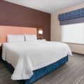 Hampton Inn Springfield South Enfield