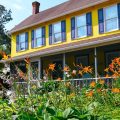 Homestead Bed & Breakfast