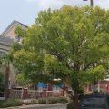 Homewood Suites by Hilton Columbia/Harbison