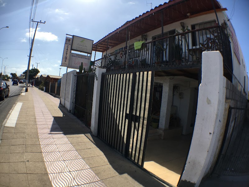 Hostal Cactus in Caldera, Chile