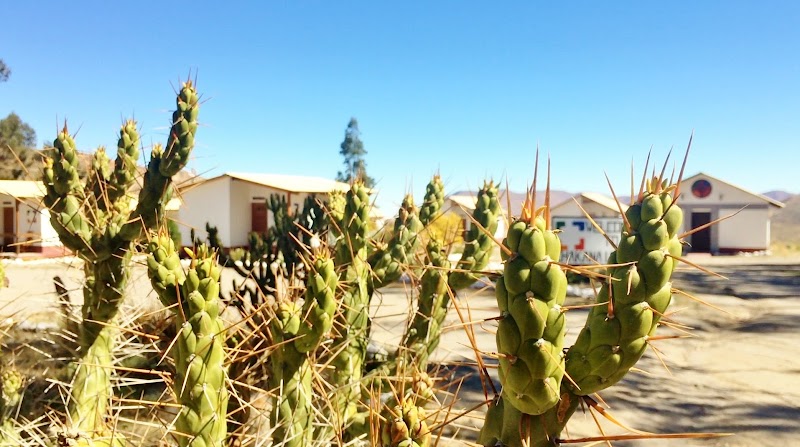 Hostal Chacana in Pica, Chile