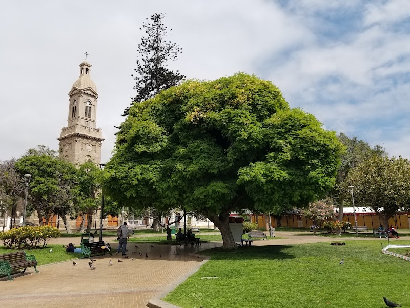 Hostal Ojo de Pez in La Serena, Chile