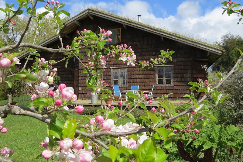 Hostal Zapato Amarillo in Puerto Octay, Chile