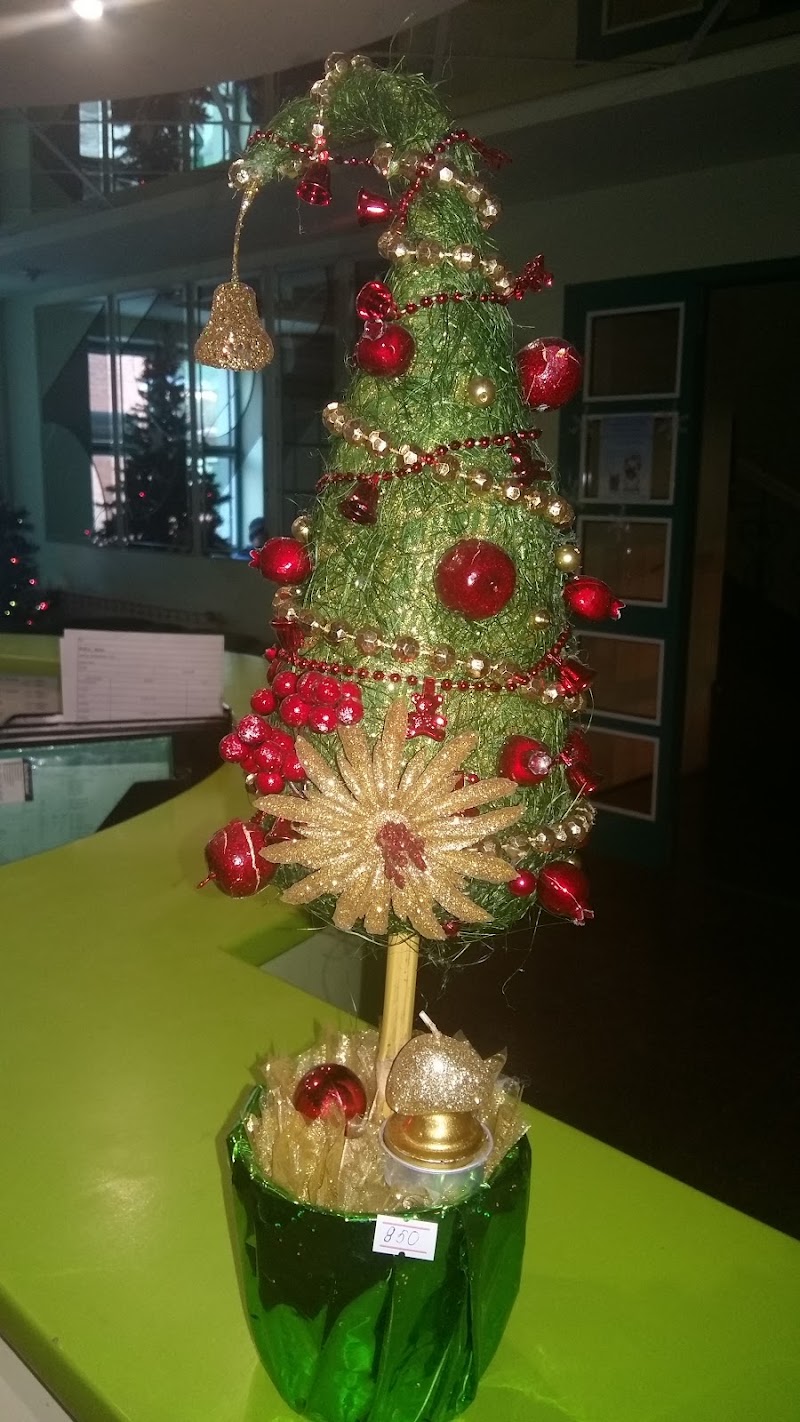 Hotel Altek in Tolyatti, Russia