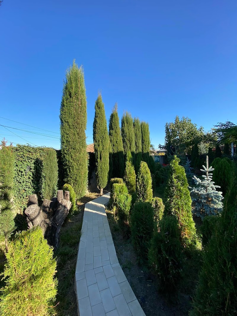 Hotel Ameli in Engels, Russia