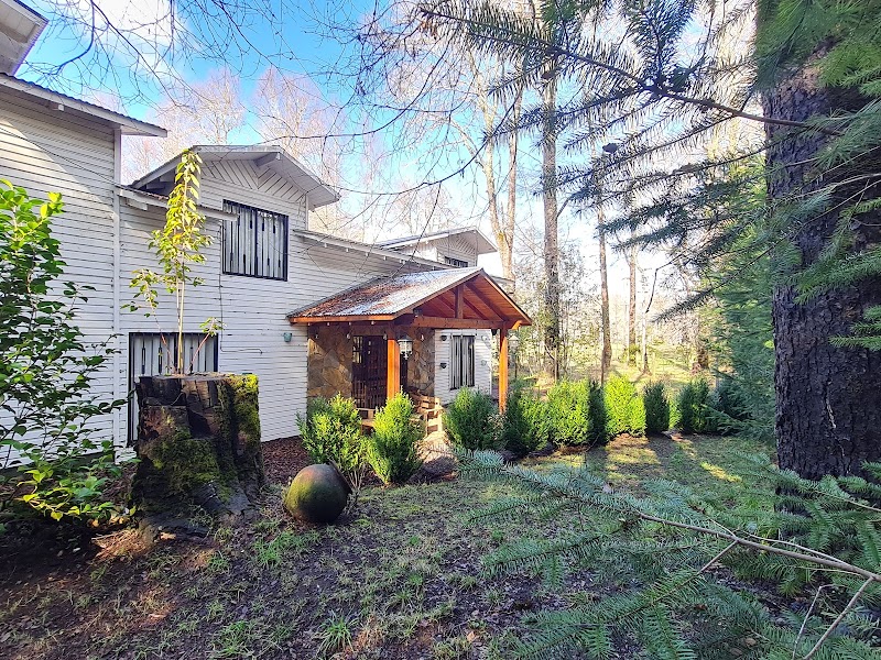 Hotel Bosque del Lago in Pucon, Chile