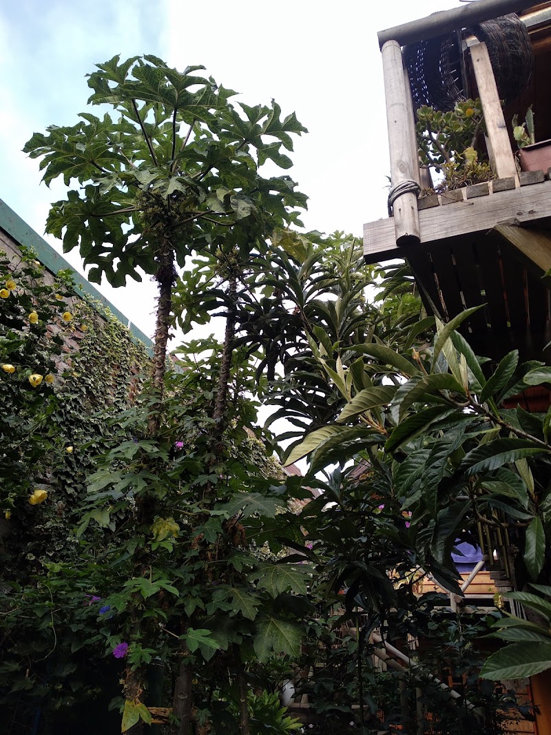 Hotel Boutique Casa de Piedra in Constitucion, Chile