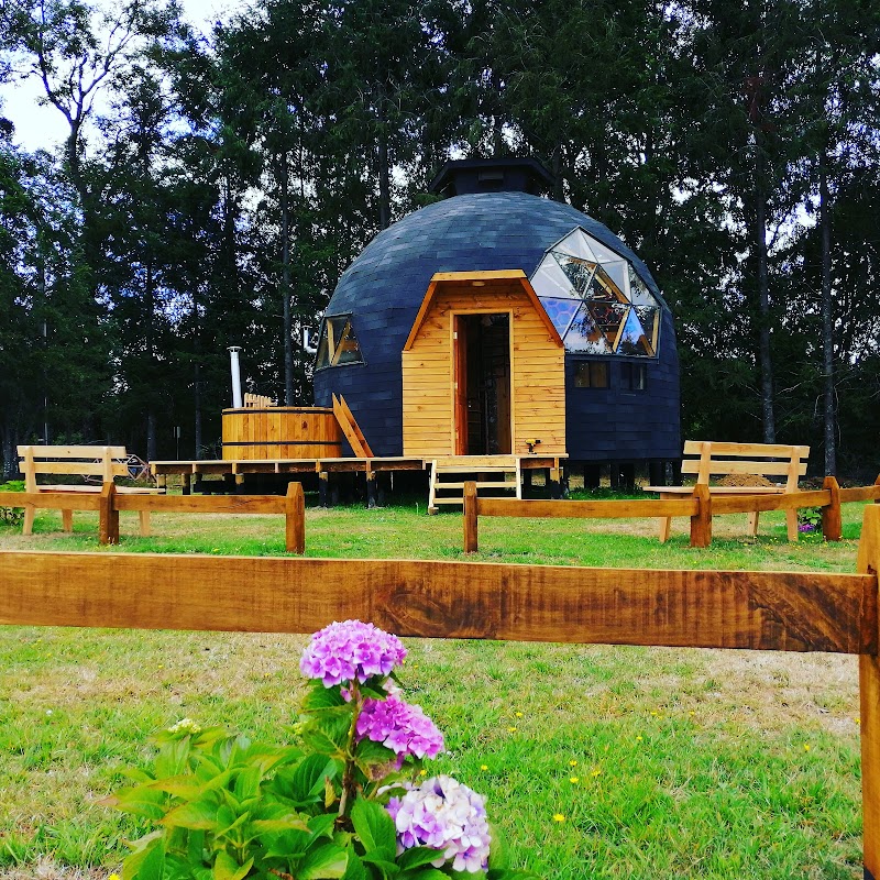 Hotel Cabañas Huincaleo in Villarrica, Chile