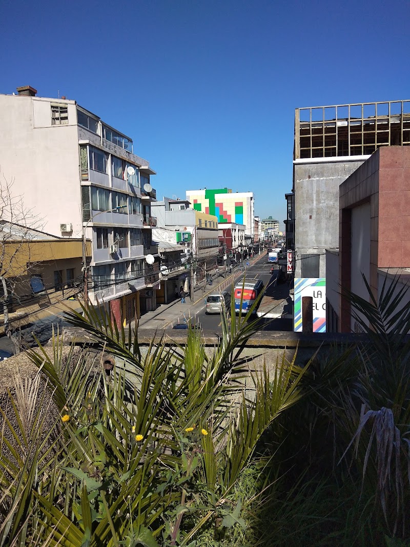 Hotel Cruz del Sur in Concepcion, Chile