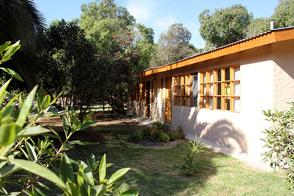 Hotel El Árbol in Talca, Chile