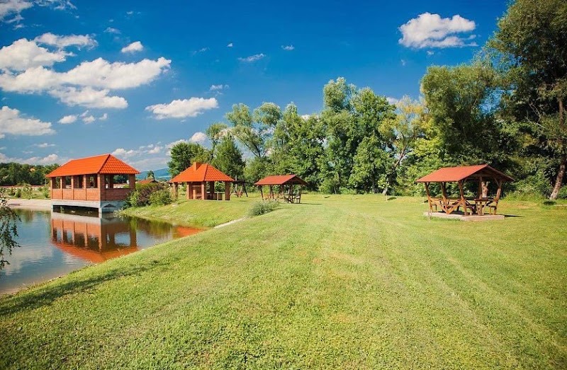 Hotel Ilona in Irshava, Ukraine