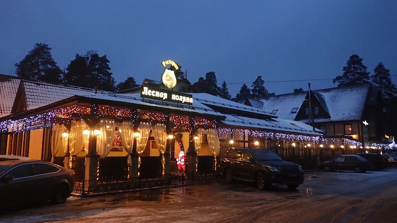 Hotel Lesnaya Polyana in Beloozerskiy, Russia