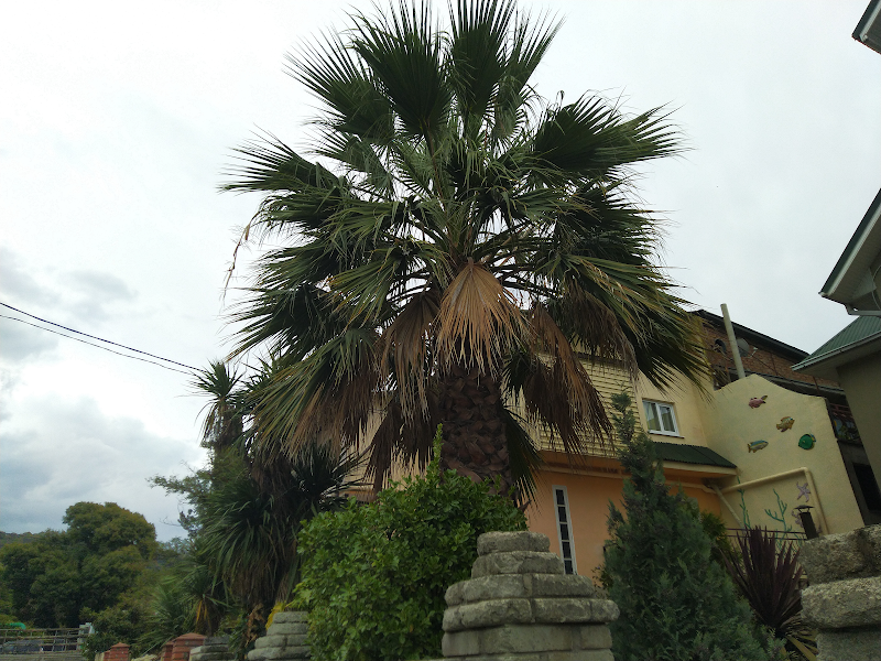 Hotel Malakhit in Gubakha, Russia
