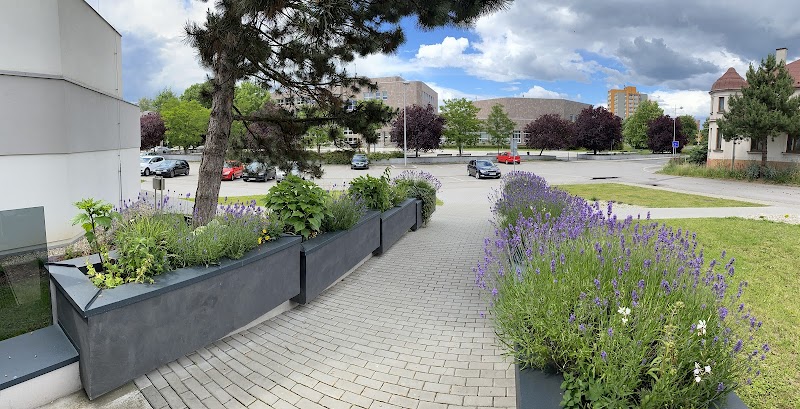 Hotel Na Fryštátské in Karvina, Czechia