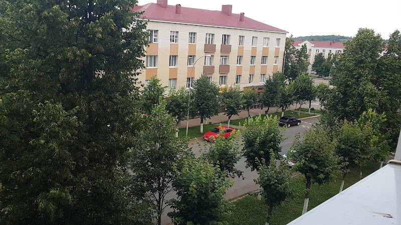 Hotel Neftyanik in Leninogorsk, Russia