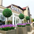Hotel Onega