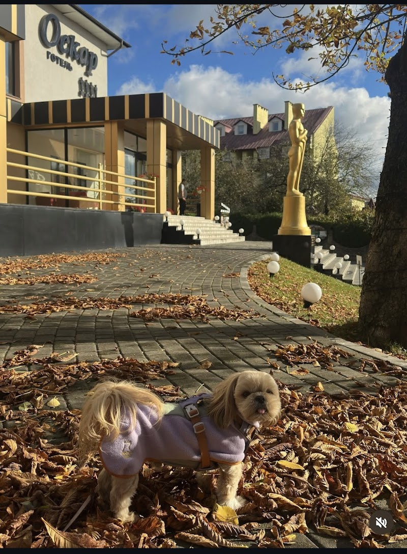 Hotel Oscar in Truskavets, Ukraine