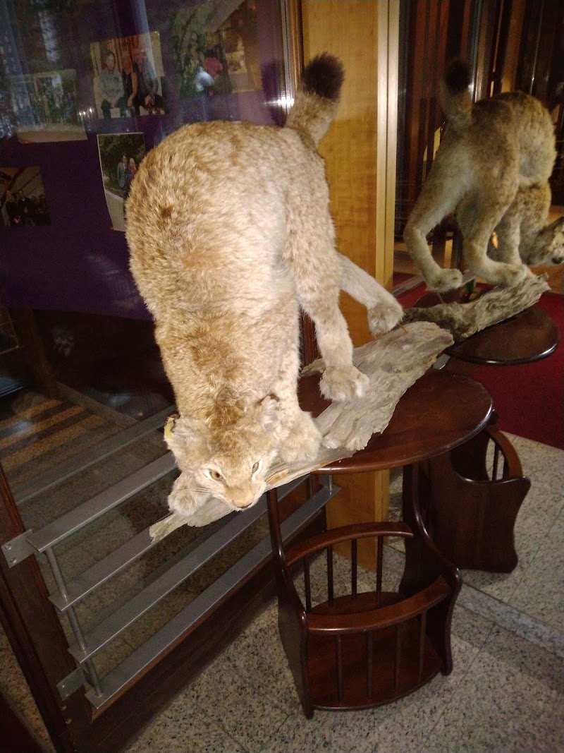 Hotel Samotlor in Nizhnevartovsk, Russia