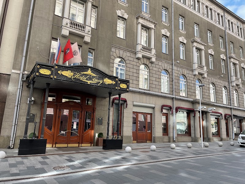 Hotel Savoy Moscow in Moscow, Russia