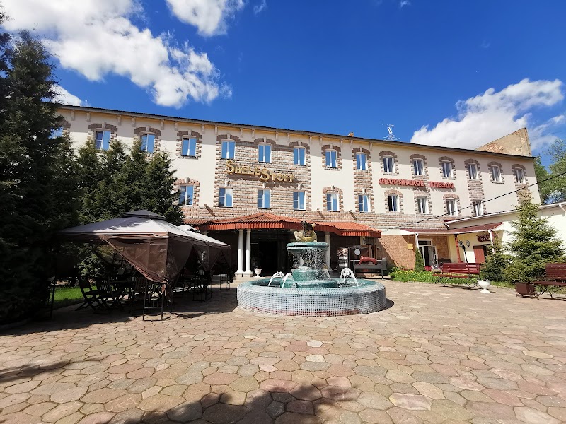 Hotel Shelestoff in Kostroma, Russia