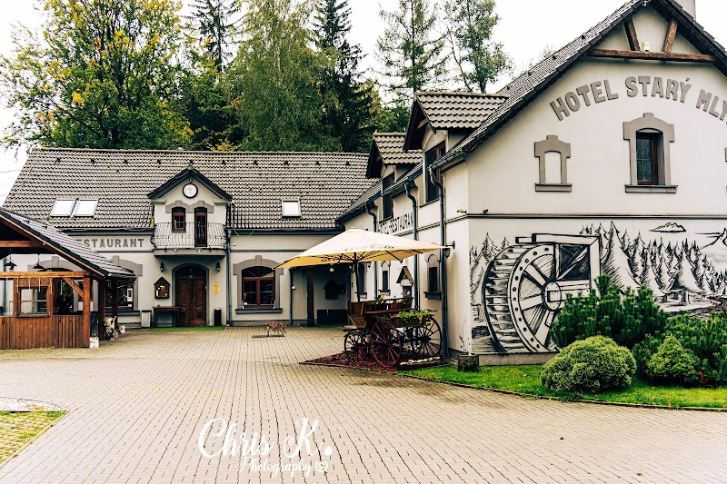 Hotel Starý Mlýn in Kadan, Czechia