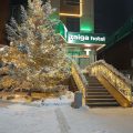 Hotel Taiga