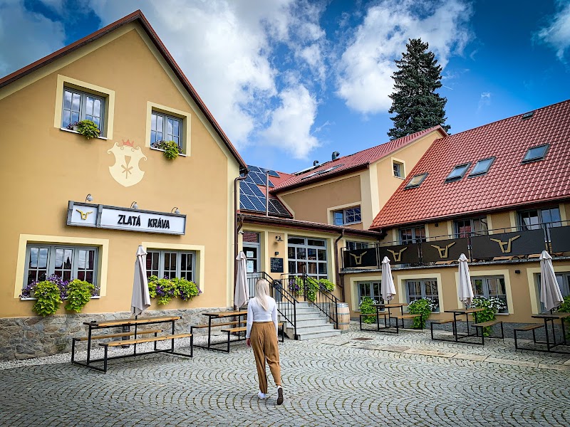 Hotel U Zeleného Stromu in Teplice, Czechia