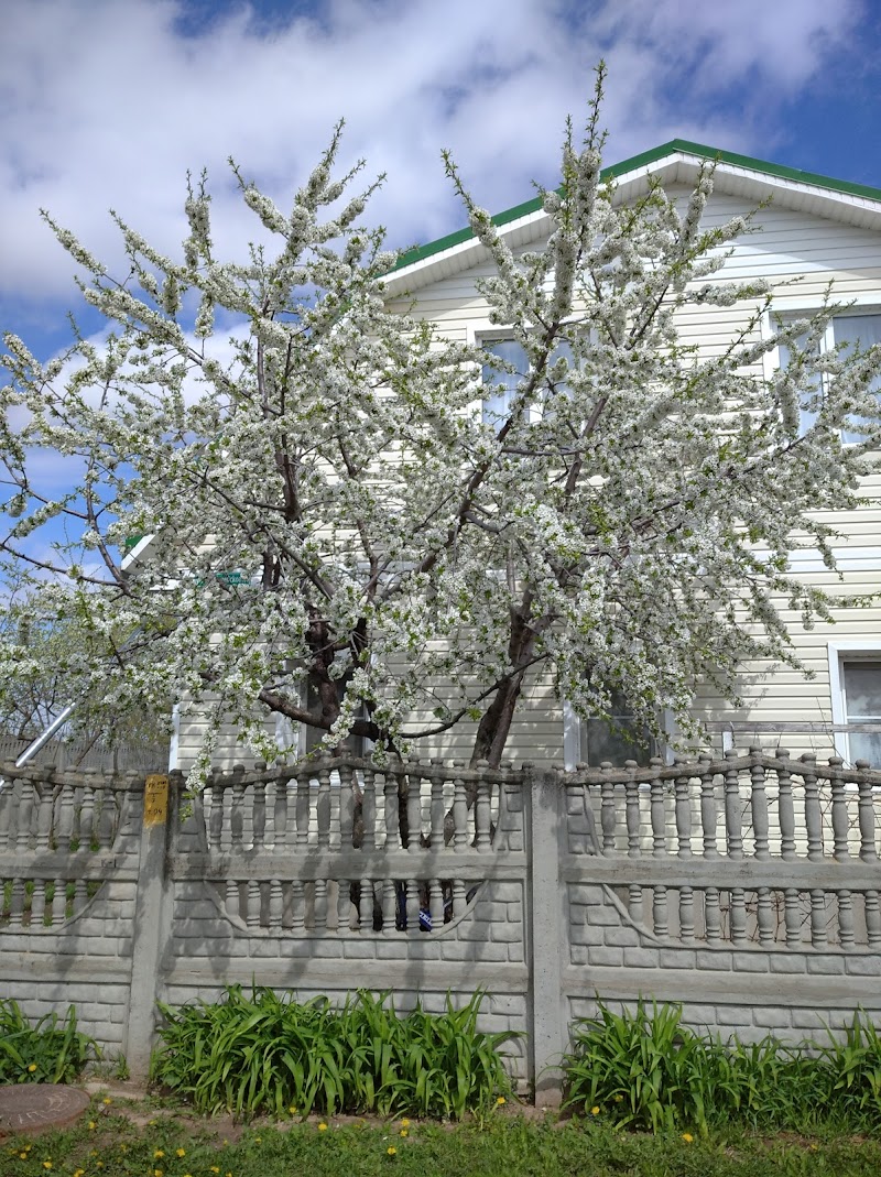 Hotel Vash Uyut in Kstovo, Russia