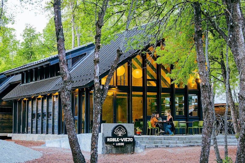 Hotel Viejo Roble in Constitucion, Chile