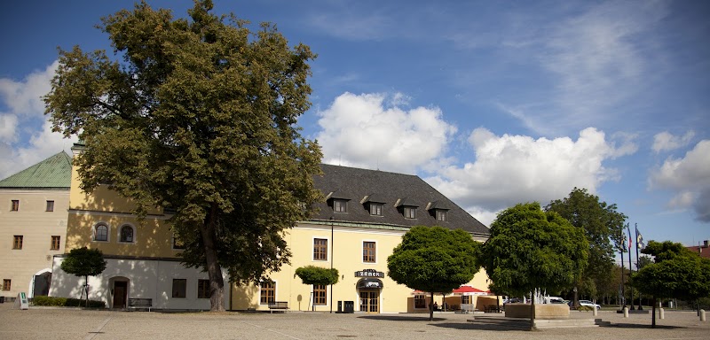 Hotel Zámek Velká Dlážka in Prostejov, Czechia