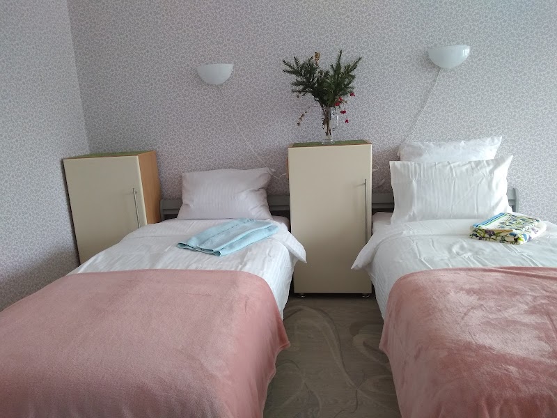 Hotel Zarinsk in Zarinsk, Russia