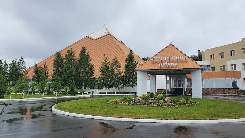 Hotel Zhemchuzhina in Nizhnevartovsk, Russia