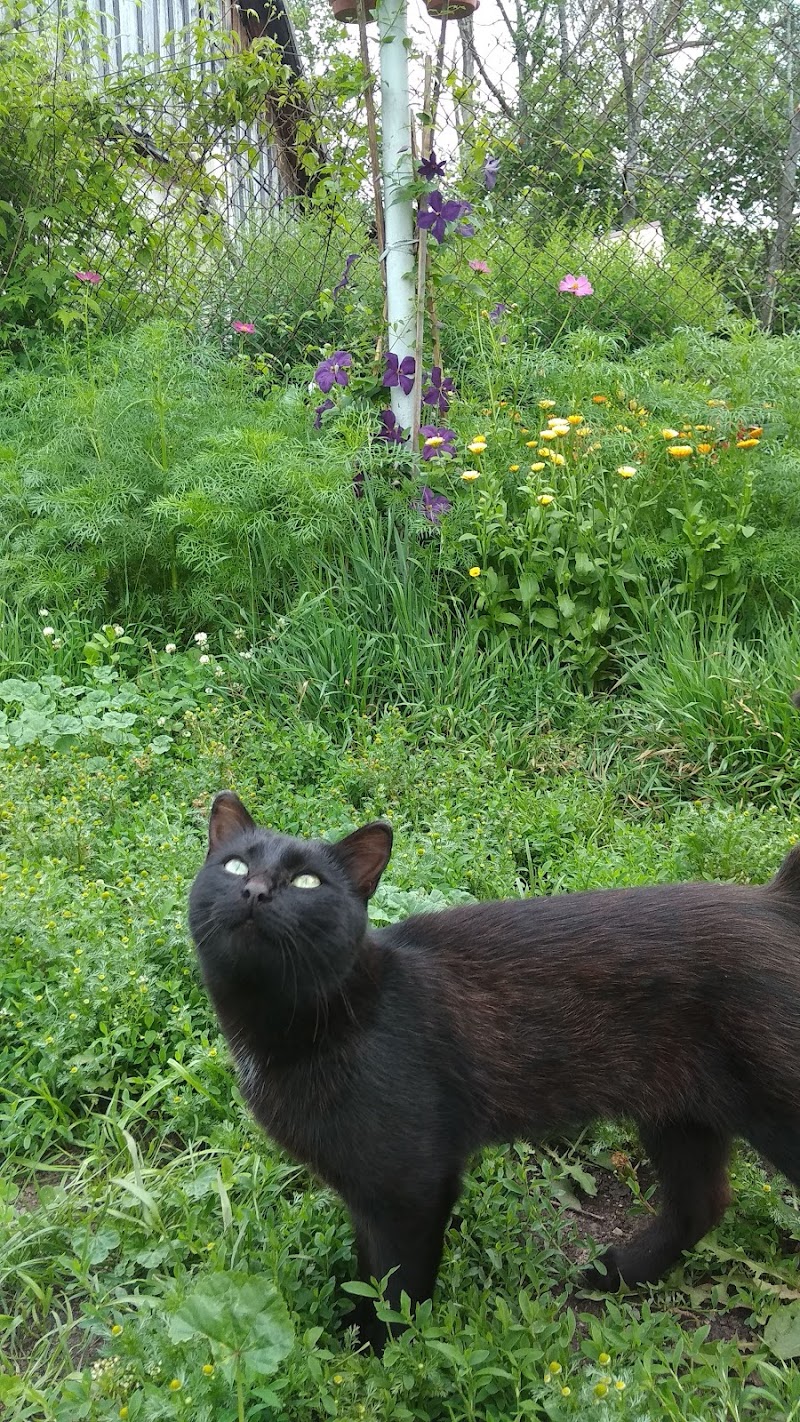 Hotel Zhemchuzhina in Sterlitamak, Russia