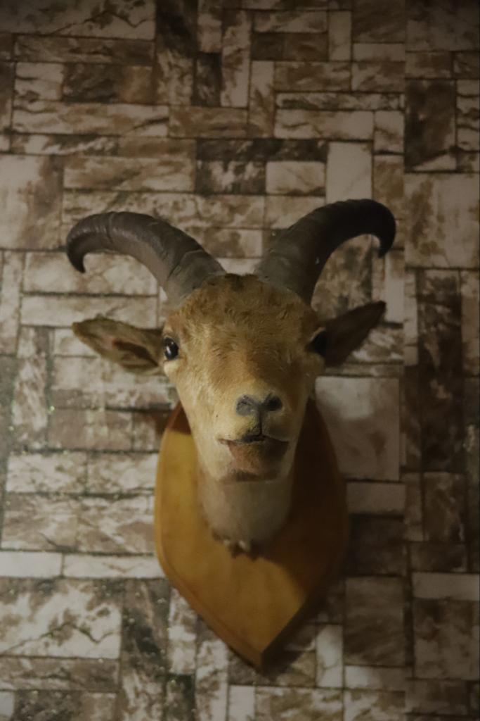 Ismayilli Guest House in Ismayilli, Azerbaijan