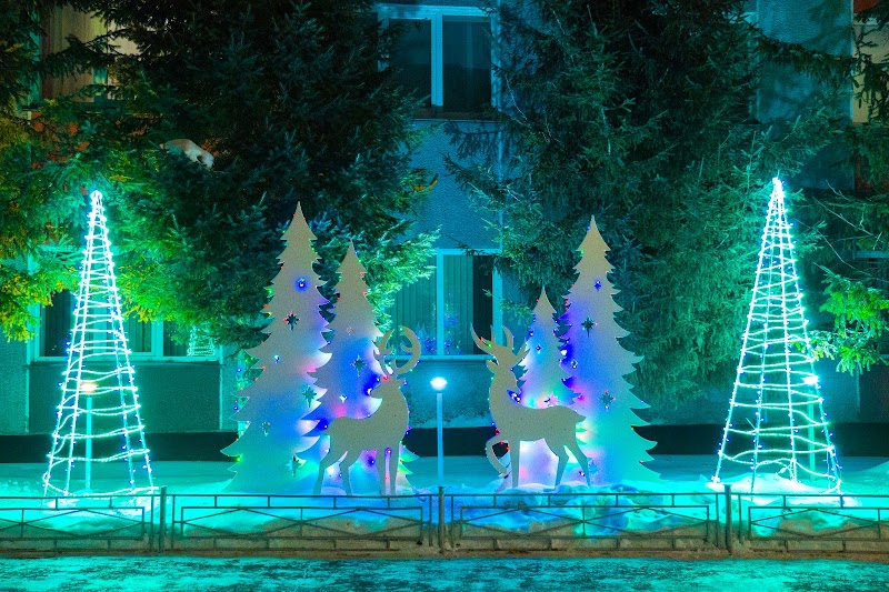 Kolos Hotel in Barnaul, Russia