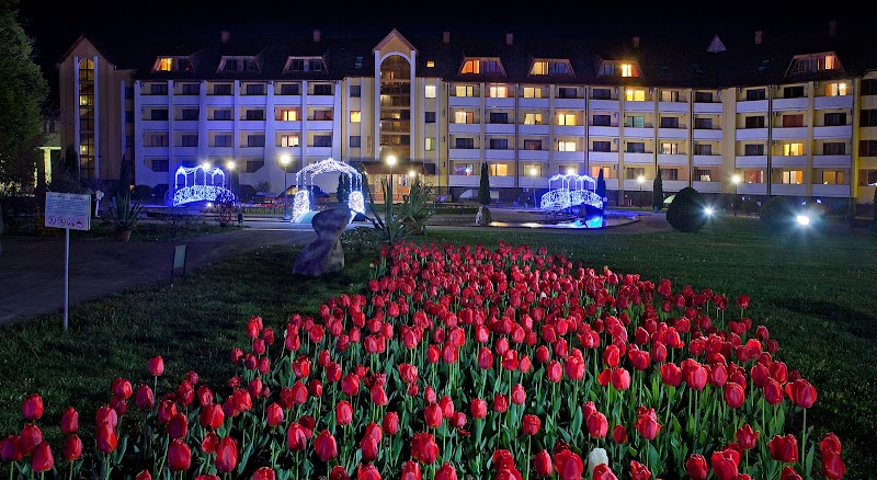 Kvitka Polonyny in Svalyava, Ukraine